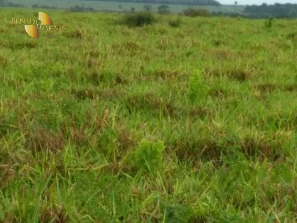 Fazenda à venda de 2.500 ha em Rosário Oeste, MT, Brasil