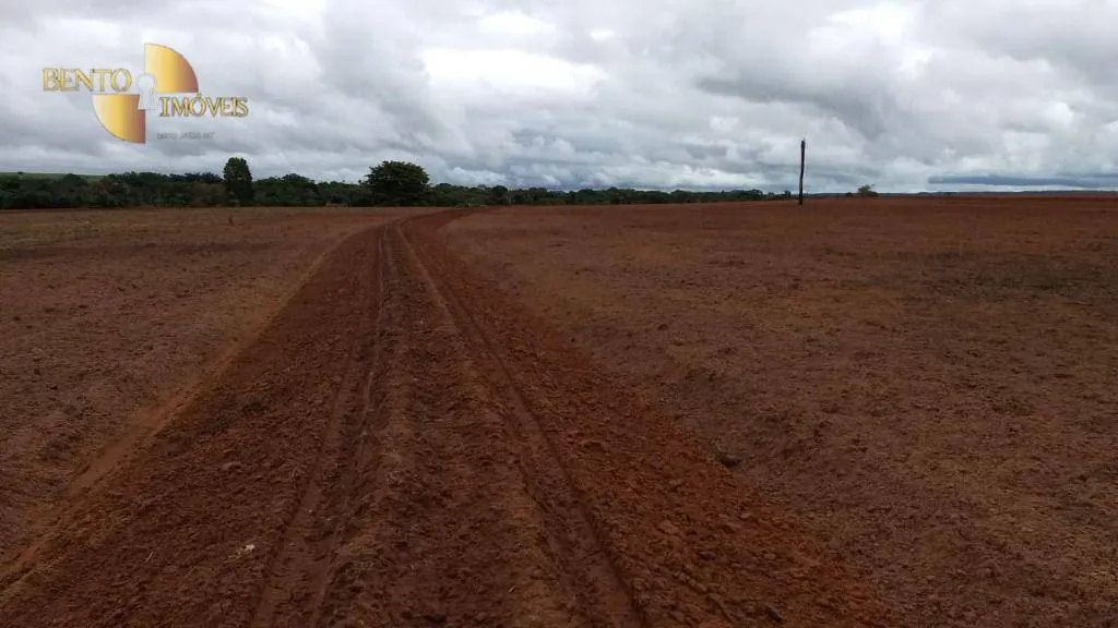 Fazenda à venda de 2.500 ha em Rosário Oeste, MT, Brasil