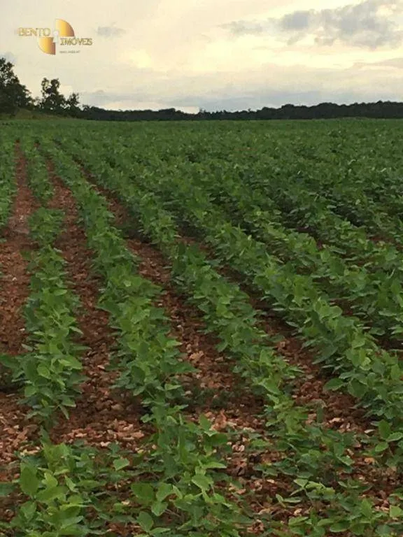 Fazenda à venda de 2.500 ha em Rosário Oeste, MT, Brasil