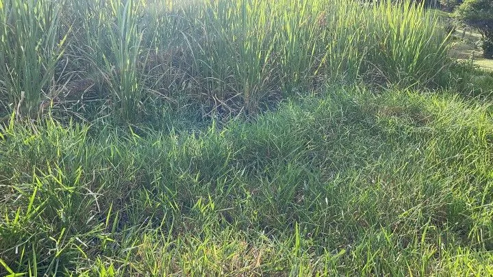 Chácara à venda de 4.400 m² em Glorinha, RS, Brasil