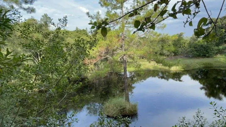 Chácara à venda de 4.400 m² em Glorinha, RS, Brasil