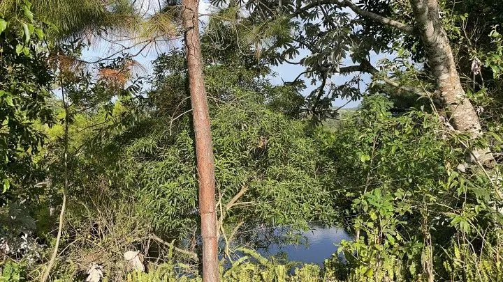 Chácara à venda de 4.400 m² em Glorinha, RS, Brasil