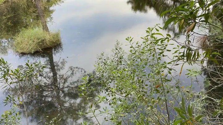 Chácara à venda de 4.400 m² em Glorinha, RS, Brasil