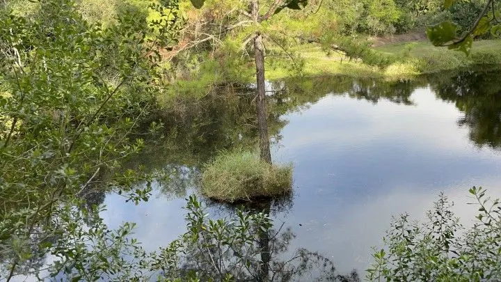 Chácara à venda de 4.400 m² em Glorinha, RS, Brasil