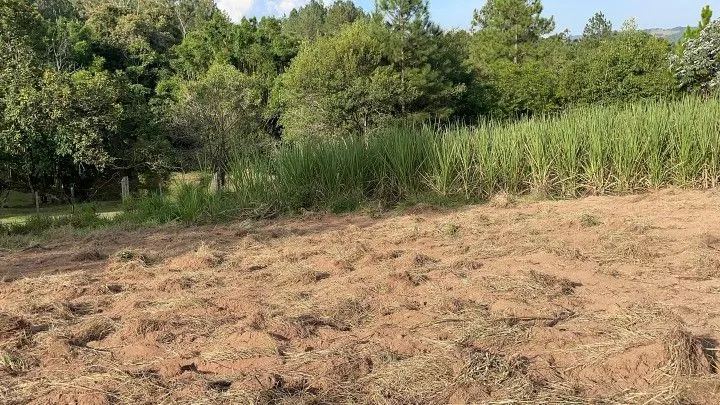 Chácara à venda de 4.400 m² em Glorinha, RS, Brasil