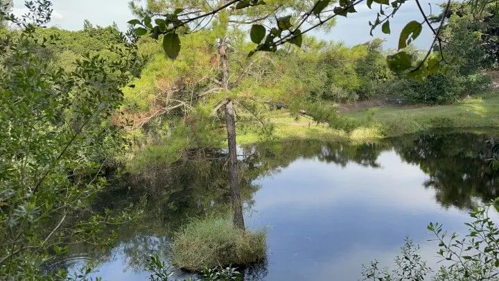Chácara à venda de 4.400 m² em Glorinha, RS, Brasil