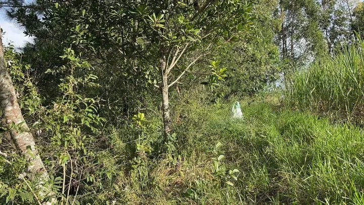 Chácara à venda de 4.400 m² em Glorinha, RS, Brasil