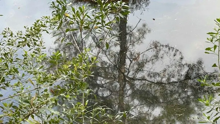 Chácara à venda de 4.400 m² em Glorinha, RS, Brasil