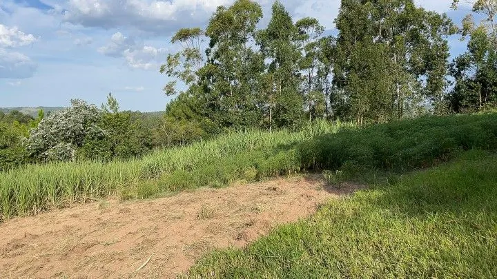 Chácara à venda de 4.400 m² em Glorinha, RS, Brasil