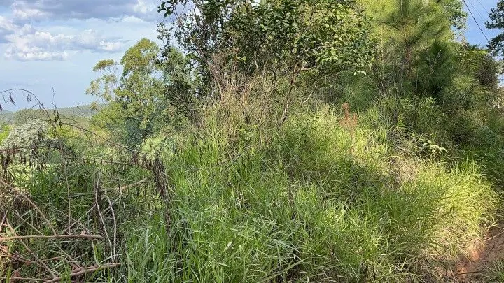 Chácara à venda de 4.400 m² em Glorinha, RS, Brasil