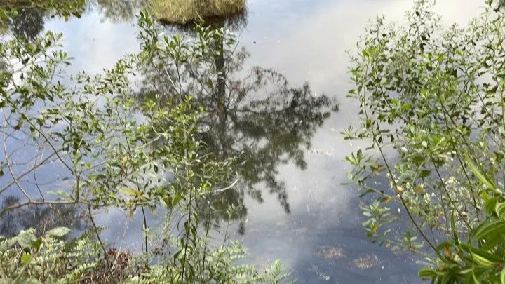 Chácara à venda de 4.400 m² em Glorinha, RS, Brasil