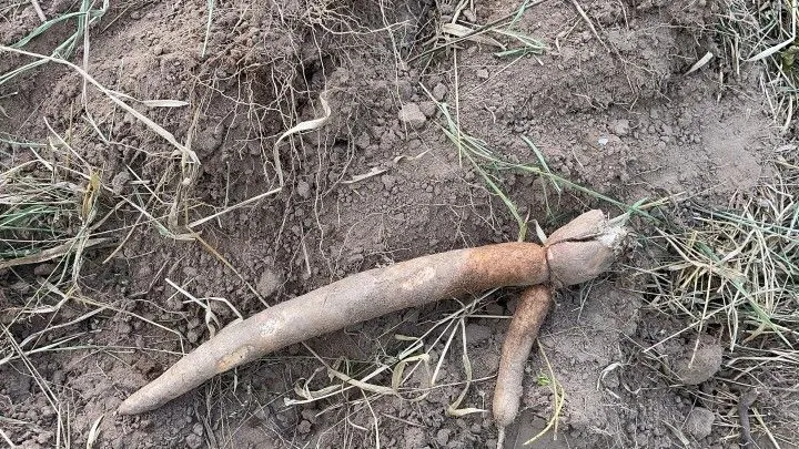 Chácara à venda de 4.400 m² em Glorinha, RS, Brasil