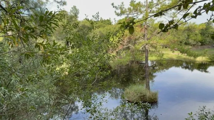 Chácara à venda de 4.400 m² em Glorinha, RS, Brasil