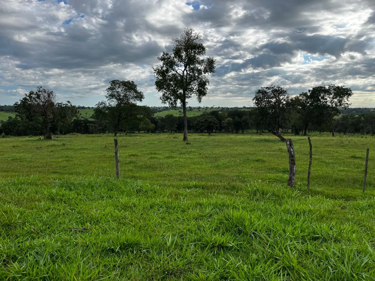 Fazenda à venda de 1.157 ha em Alto Araguaia, MT, Brasil