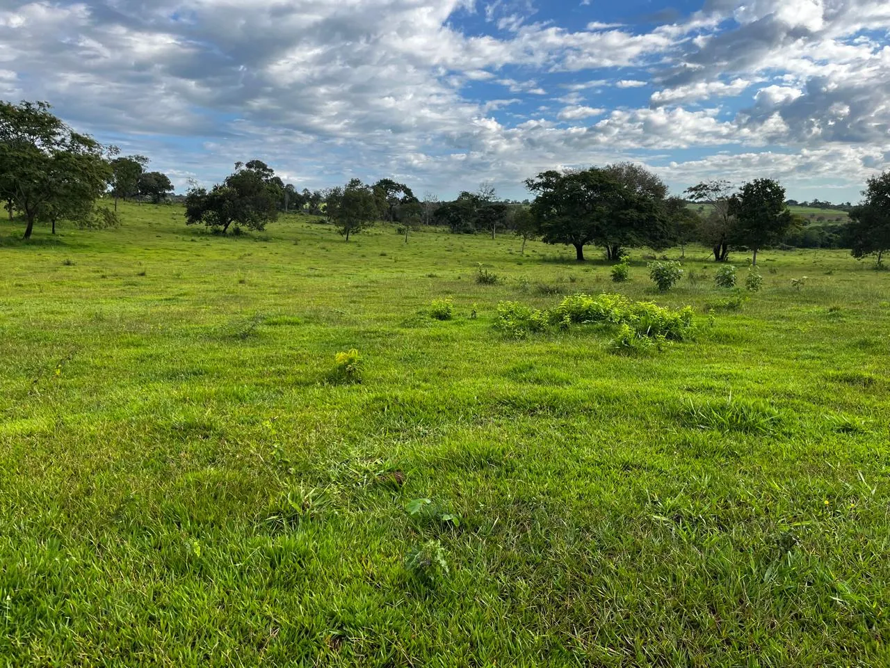 Fazenda à venda de 1.157 ha em Alto Araguaia, MT, Brasil