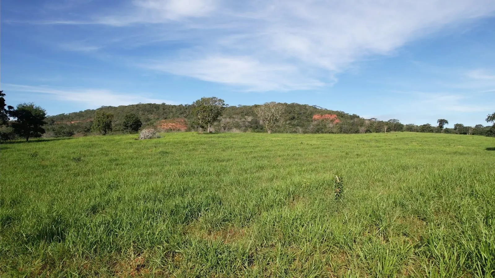 Fazenda à venda de 1.157 ha em Alto Araguaia, MT, Brasil
