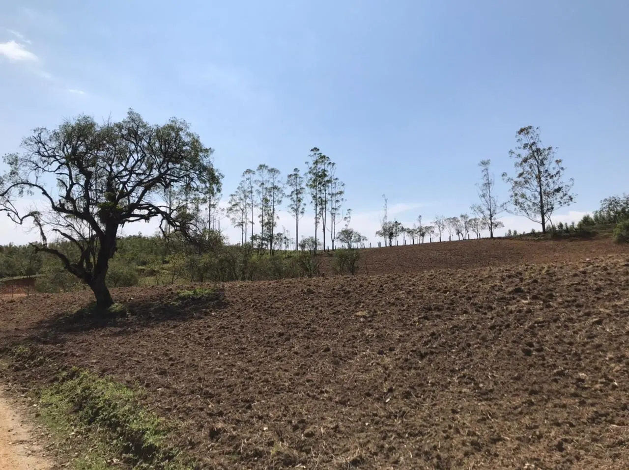 Small farm for sale of 23 acres in Pilar do Sul, SP, Brazil
