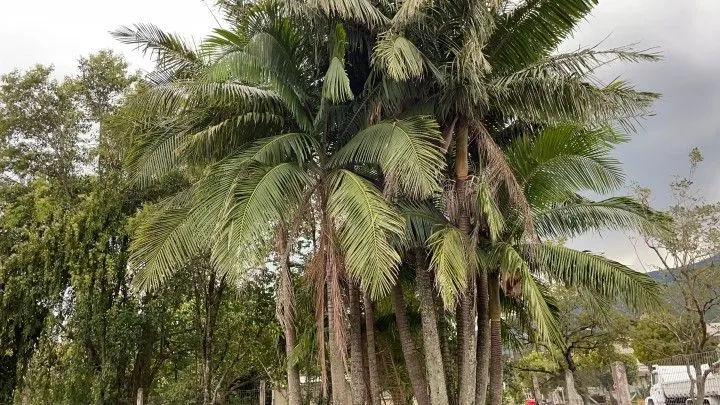Plot for sale of 616 m² in Maquiné, RS, Brazil