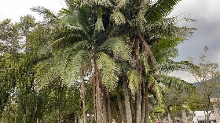 Plot for sale of 616 m² in Maquiné, RS, Brazil