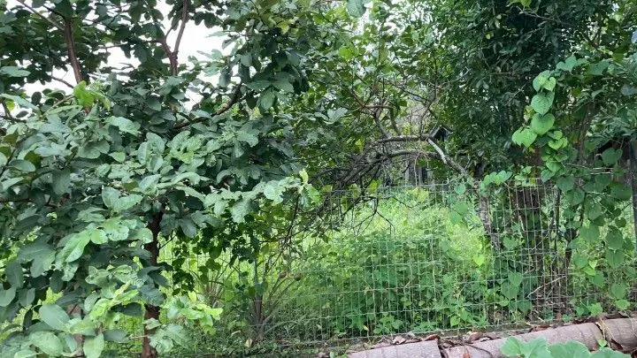 Plot for sale of 616 m² in Maquiné, RS, Brazil