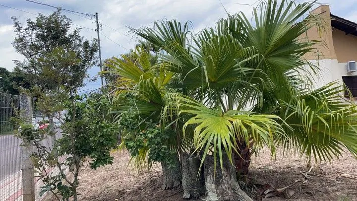 Plot for sale of 616 m² in Maquiné, RS, Brazil