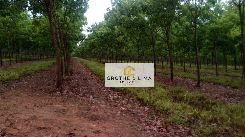 Fazenda à venda de 8.470 ha em Araguaína, TO, Brasil