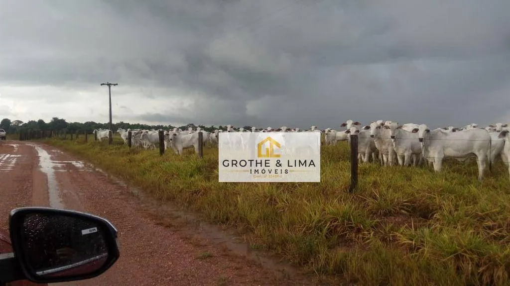 Fazenda à venda de 8.470 ha em Araguaína, TO, Brasil