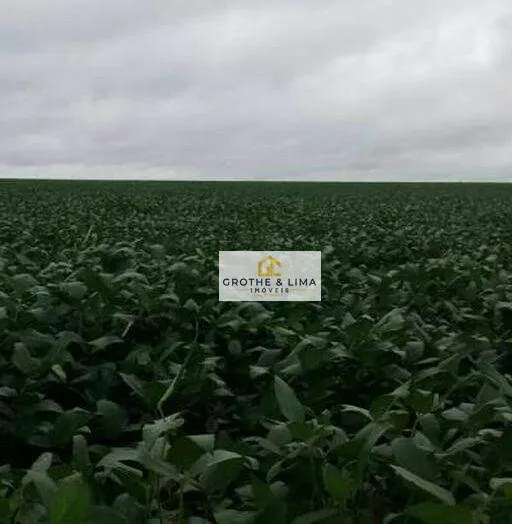 Fazenda à venda de 8.470 ha em Araguaína, TO, Brasil