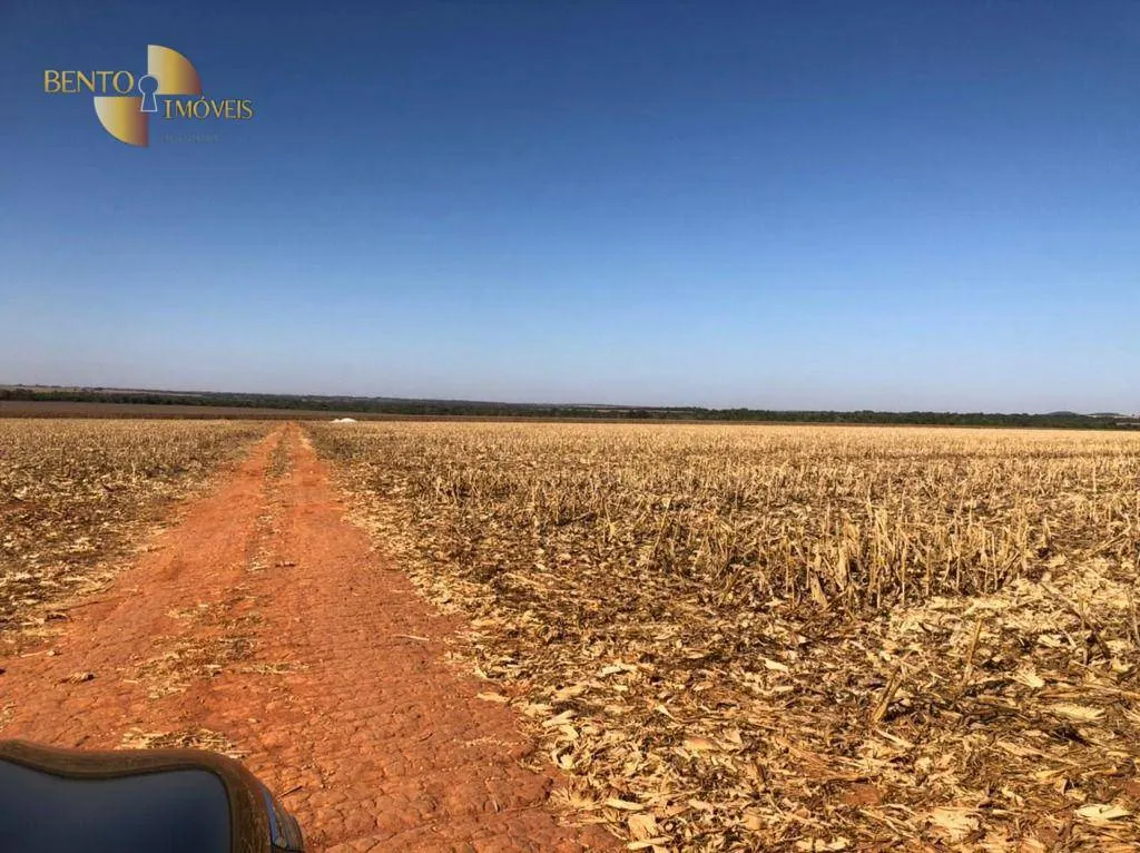 Fazenda à venda de 13.072 ha em Canarana, MT, Brasil