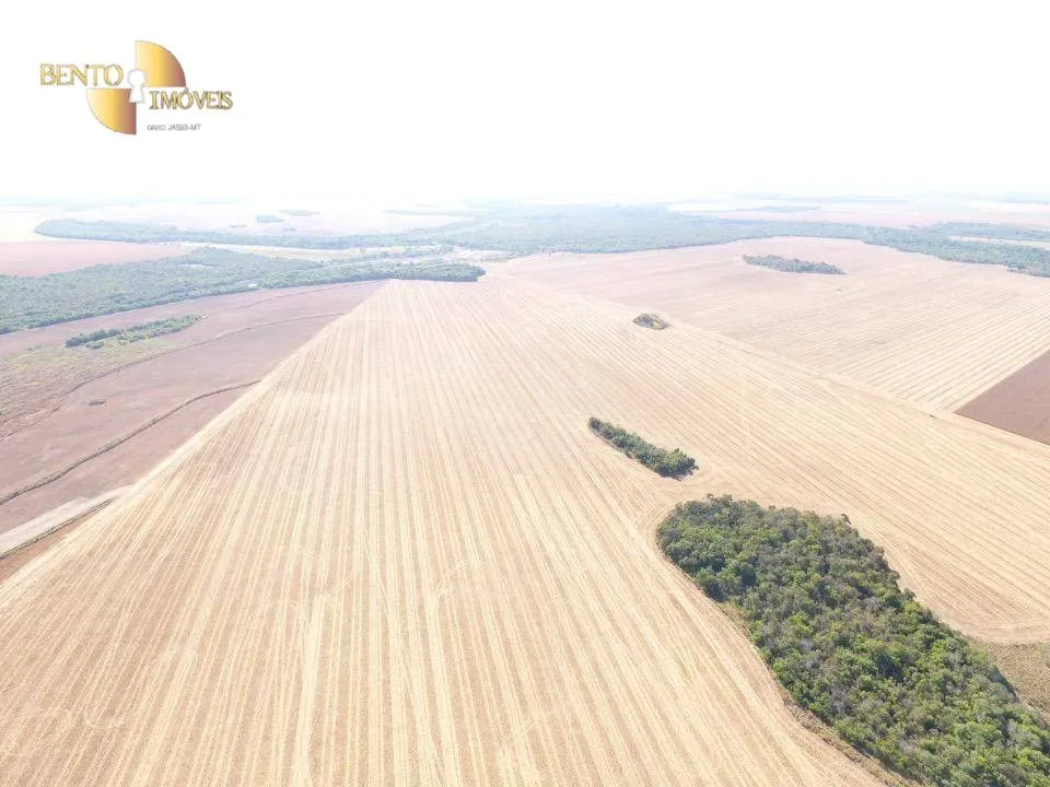 Fazenda à venda de 13.072 ha em Canarana, MT, Brasil