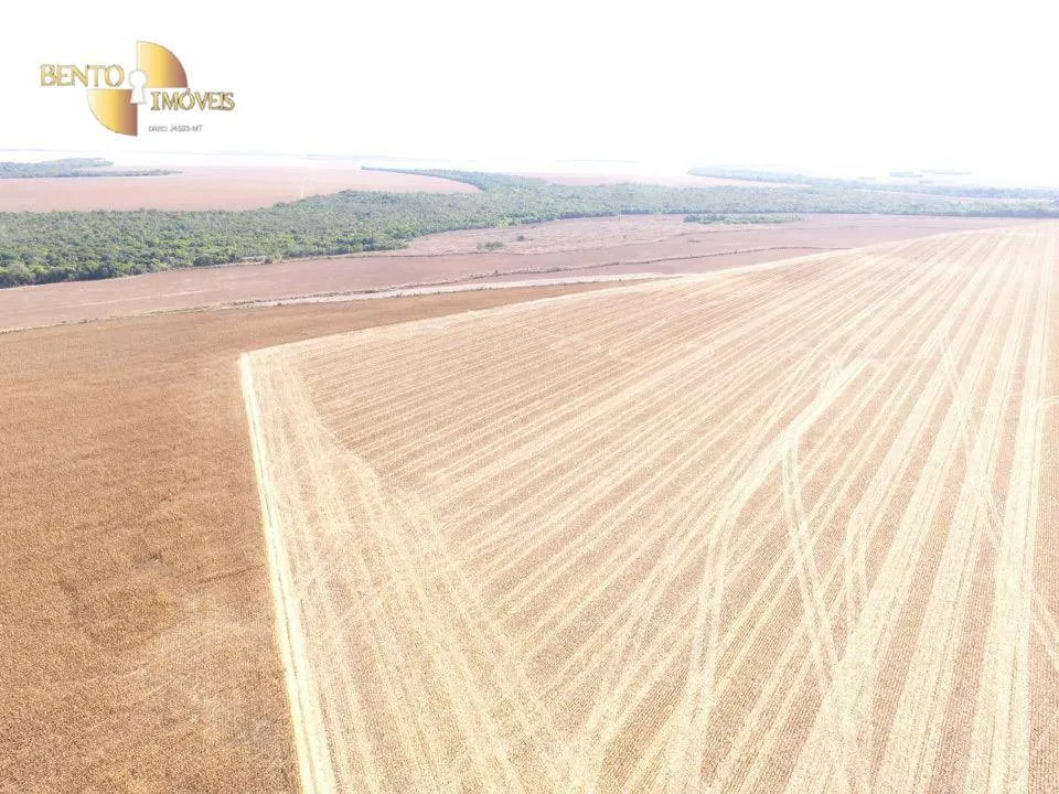 Fazenda à venda de 13.072 ha em Canarana, MT, Brasil