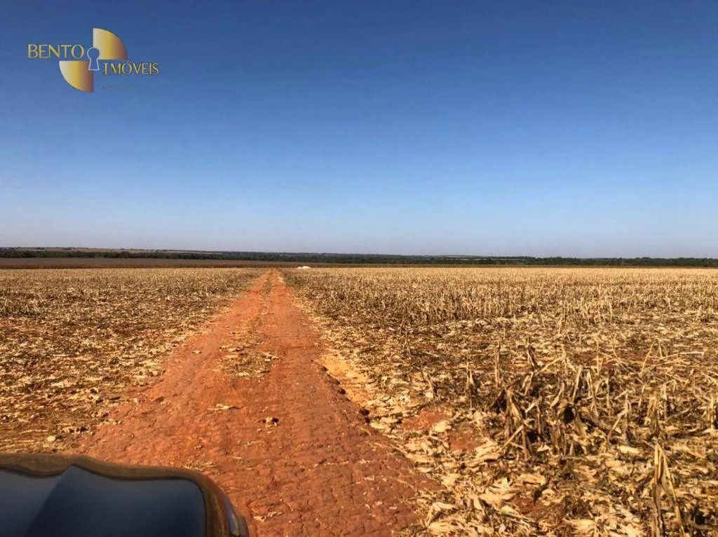 Fazenda à venda de 13.072 ha em Canarana, MT, Brasil