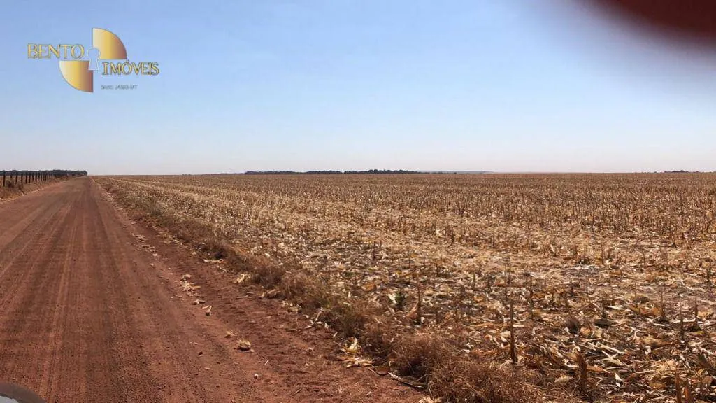 Fazenda à venda de 13.072 ha em Canarana, MT, Brasil