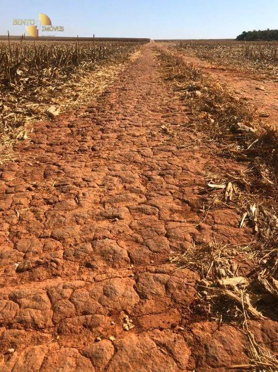 Fazenda à venda de 13.072 ha em Canarana, MT, Brasil