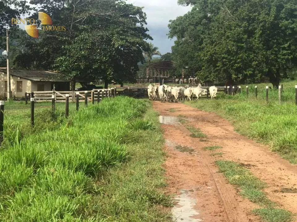 Fazenda à venda de 314 ha em Santo Antônio do Leverger, MT, Brasil