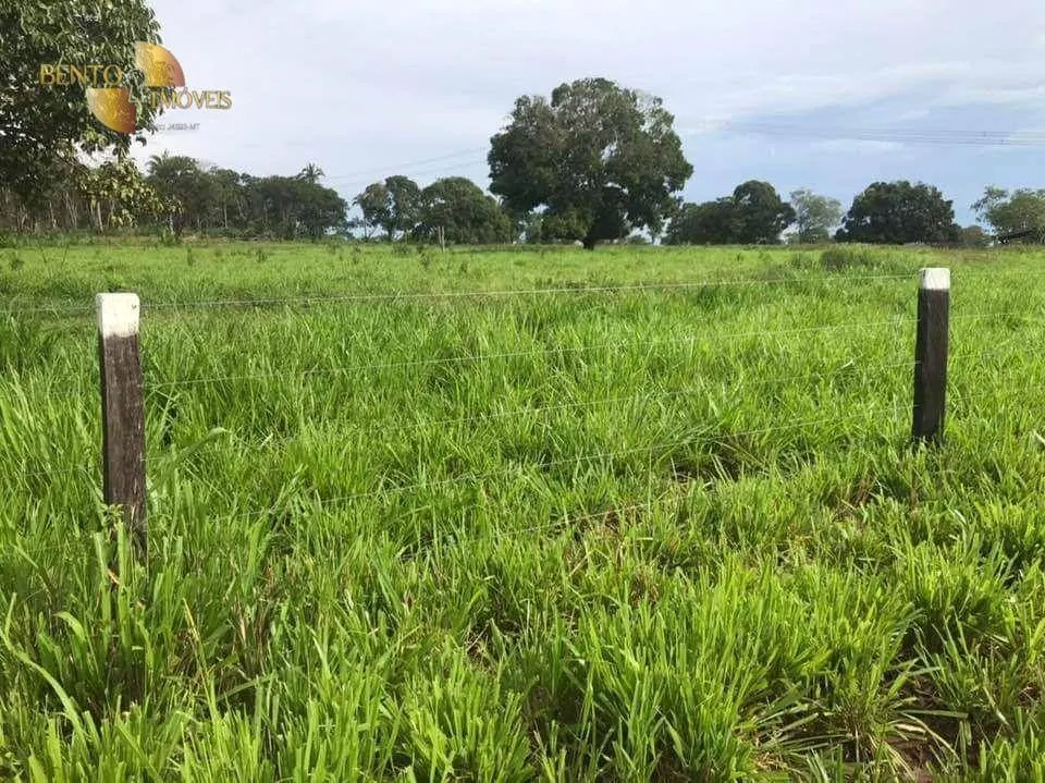 Fazenda à venda de 314 ha em Santo Antônio do Leverger, MT, Brasil