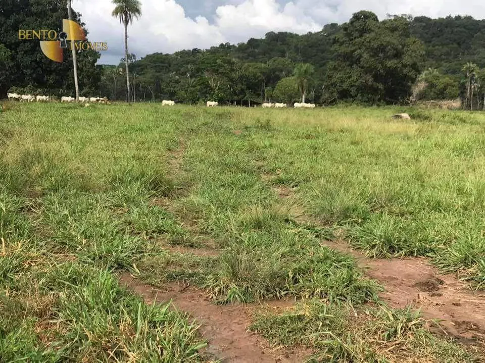 Fazenda à venda de 314 ha em Santo Antônio do Leverger, MT, Brasil