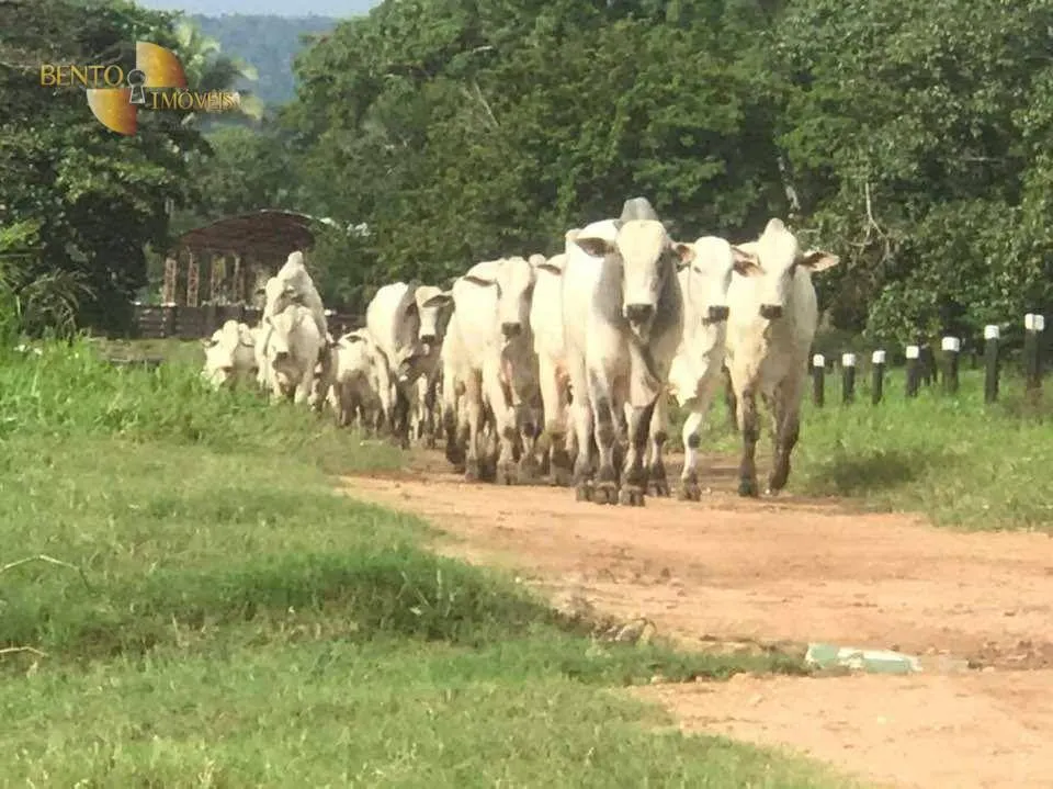 Fazenda à venda de 314 ha em Santo Antônio do Leverger, MT, Brasil