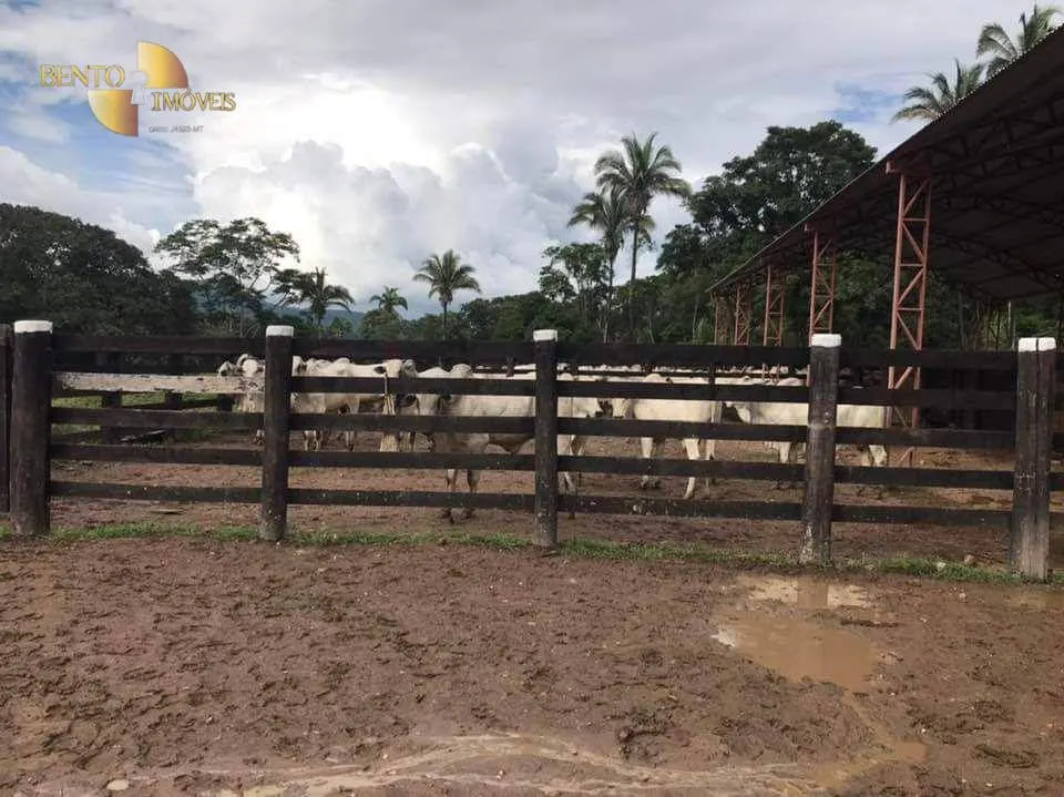 Fazenda à venda de 314 ha em Santo Antônio do Leverger, MT, Brasil