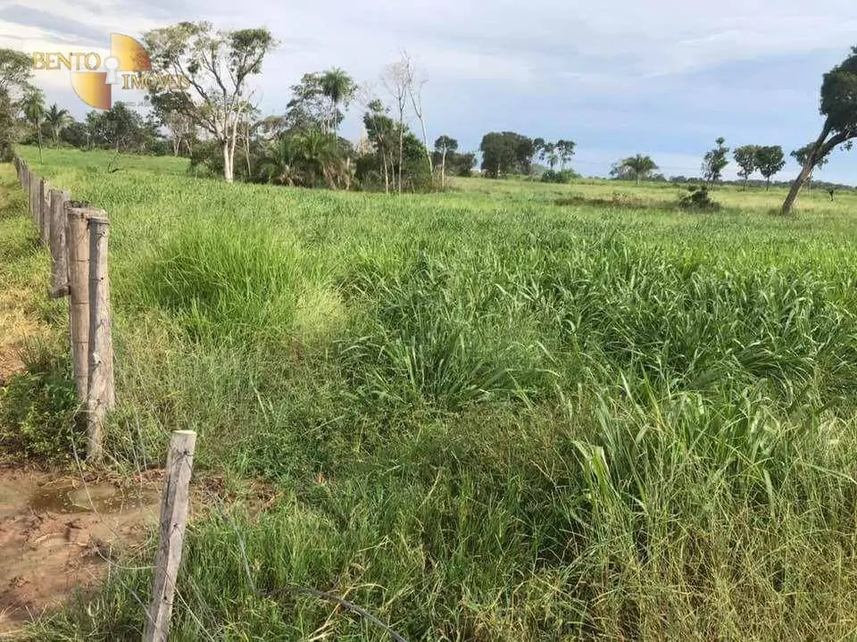 Fazenda à venda de 314 ha em Santo Antônio do Leverger, MT, Brasil
