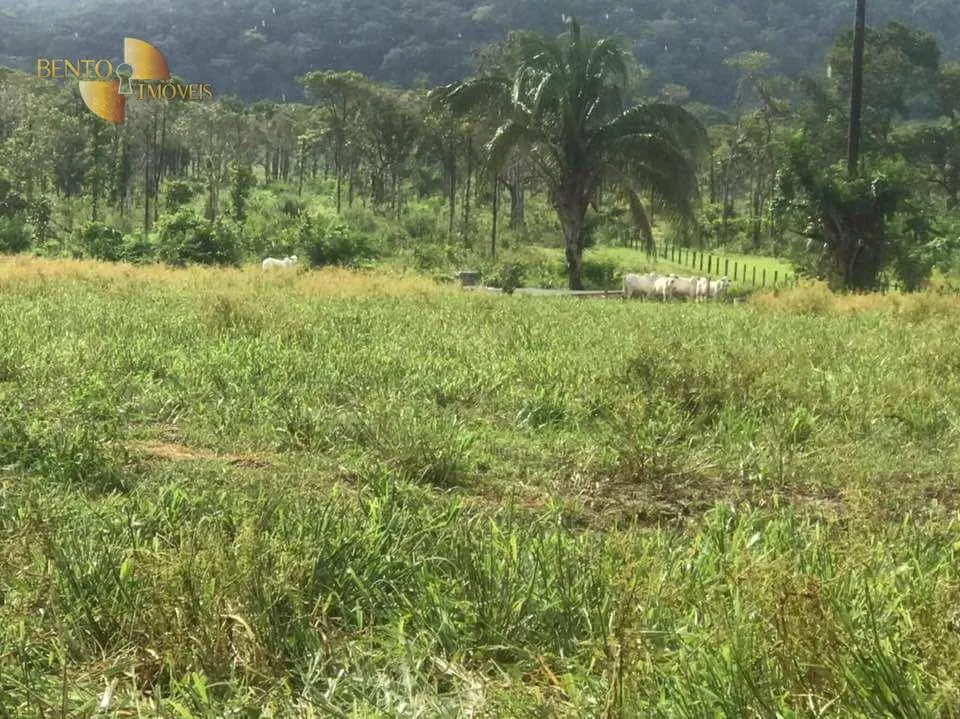 Fazenda à venda de 314 ha em Santo Antônio do Leverger, MT, Brasil