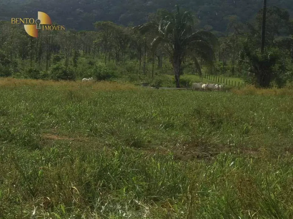 Fazenda à venda de 314 ha em Santo Antônio do Leverger, MT, Brasil