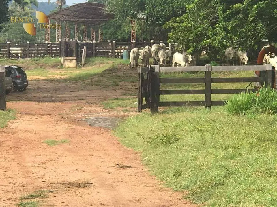 Fazenda à venda de 314 ha em Santo Antônio do Leverger, MT, Brasil