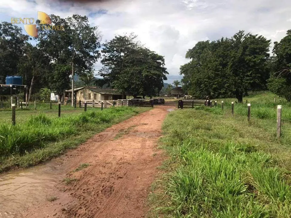 Fazenda à venda de 314 ha em Santo Antônio do Leverger, MT, Brasil