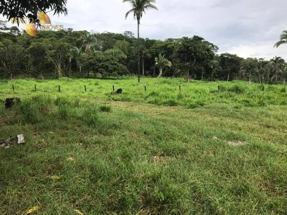 Fazenda à venda de 314 ha em Santo Antônio do Leverger, MT, Brasil