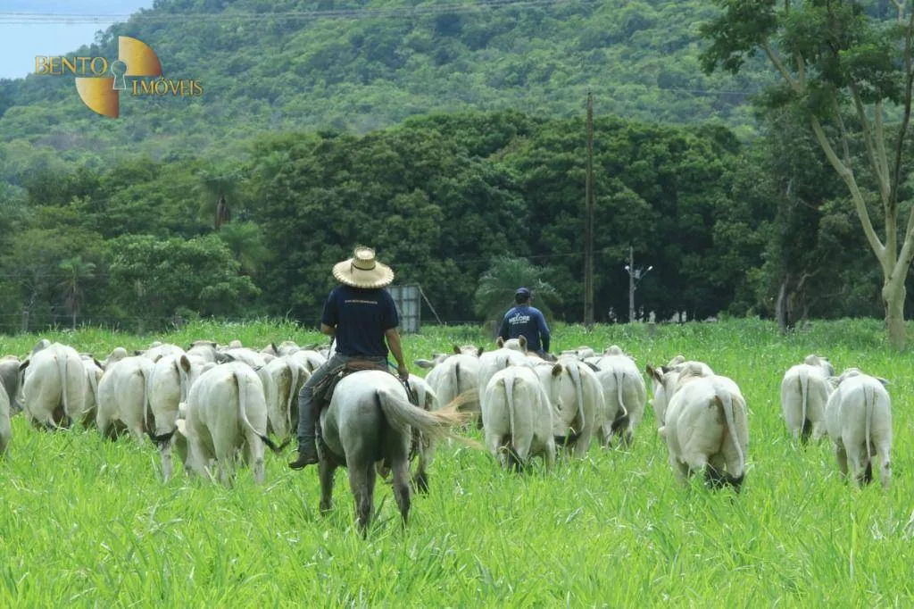 Fazenda à venda de 314 ha em Santo Antônio do Leverger, MT, Brasil