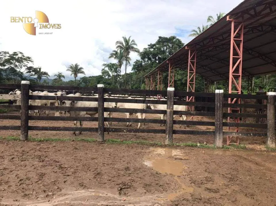 Fazenda à venda de 314 ha em Santo Antônio do Leverger, MT, Brasil