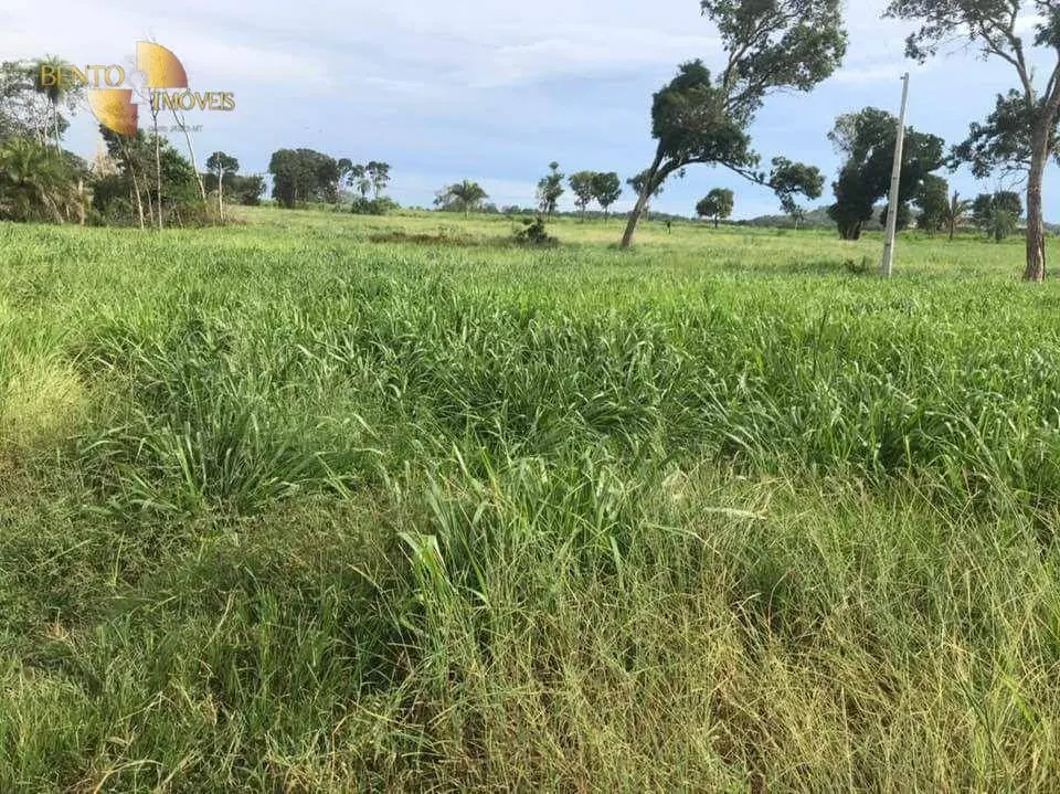 Fazenda à venda de 314 ha em Santo Antônio do Leverger, MT, Brasil
