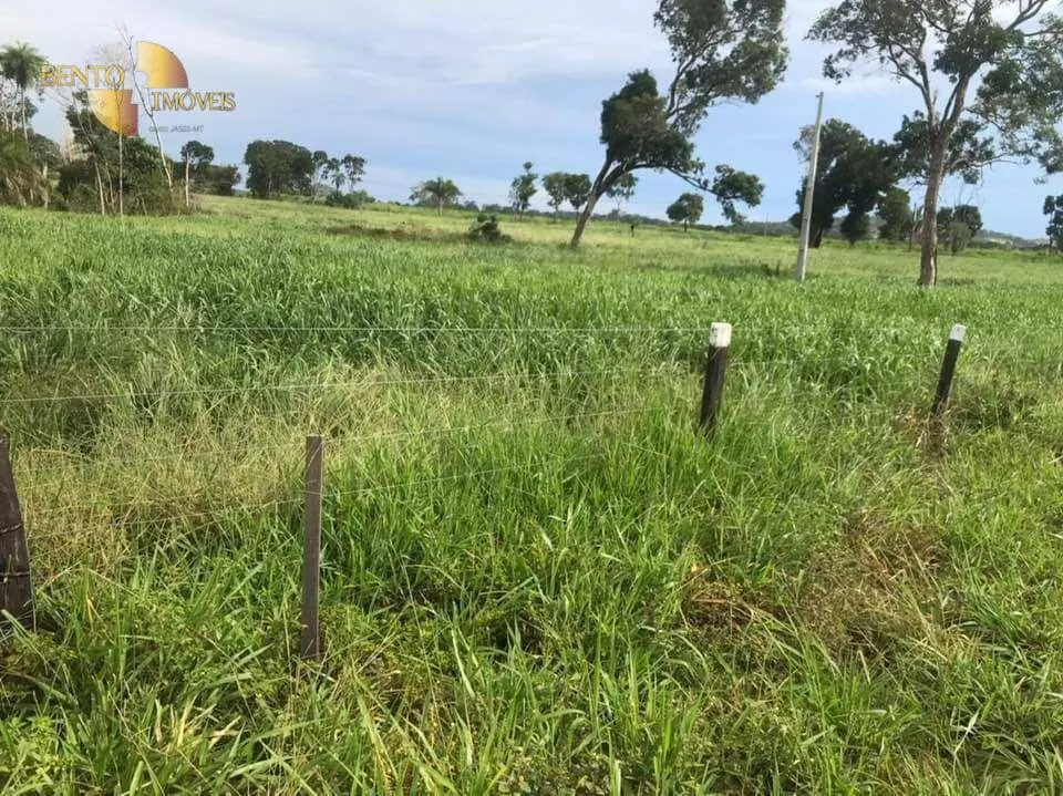 Fazenda à venda de 314 ha em Santo Antônio do Leverger, MT, Brasil
