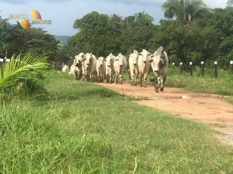 Fazenda à venda de 314 ha em Santo Antônio do Leverger, MT, Brasil